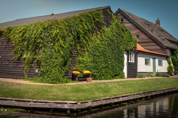 giethoorn - Gieters Gruttertje B&B buiten